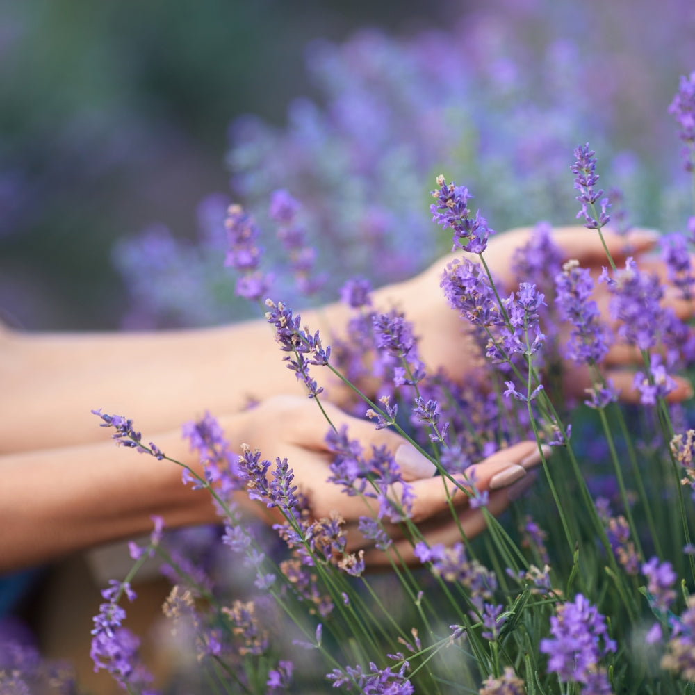 Tónico de lavanda bio 100 ml